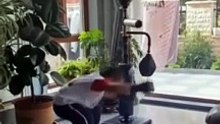 Short Funny Compilation (12)