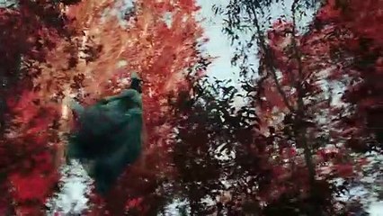 American Born Chinese : premier teaser de la série Disney+ qui réunit Michelle Yeoh et Ke Huy Quan (VO)