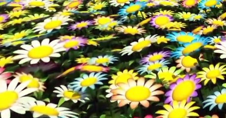 Pororo the Little Penguin Pororo the Little Penguin S04 E015 The Butterfly Forest