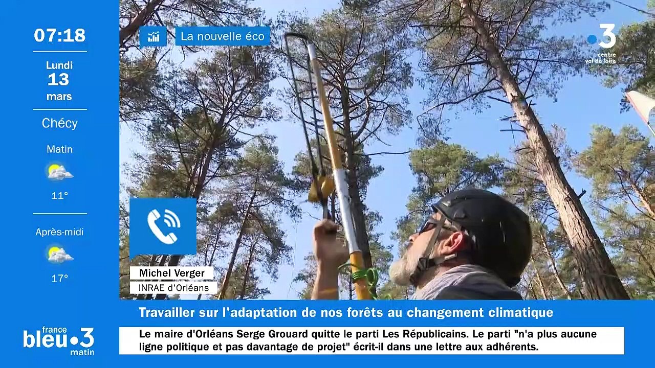 La nouvelle éco : L'INRAE, qui travaille sur la composition des forêts, recrute en Centre-Val de Loire