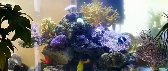 Watch Mum's List (2016) in HD | Stream the Emotional Drama Now 🎬