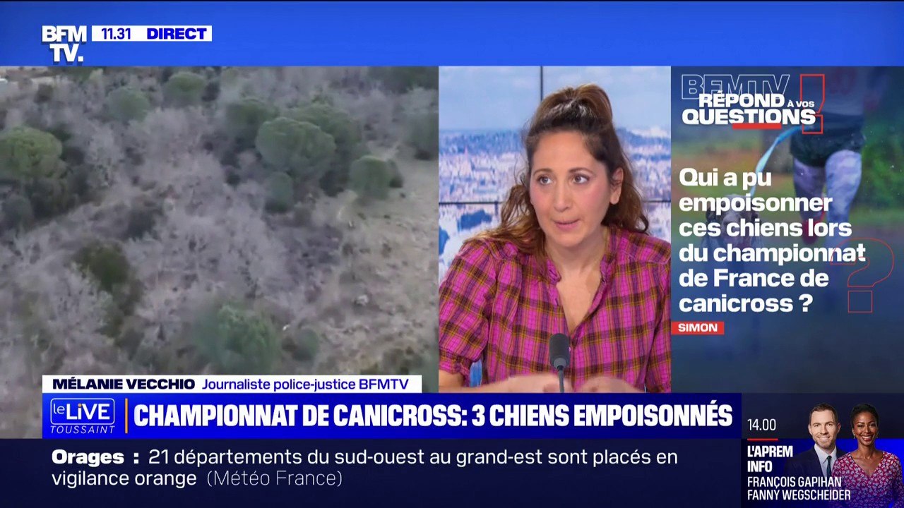 Qui a pu empoisonner ces chiens lors du championnat de France de canicross? BFMTV répond à vos questions