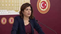 Meral Danış Beştaş, Kadına Şiddetin Önlenmesi Yasasıyla İlgili Tartışmaları Değerlendirdi: 