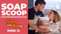 Home and Away Soap Scoop! Ziggy and Dean's baby arrives