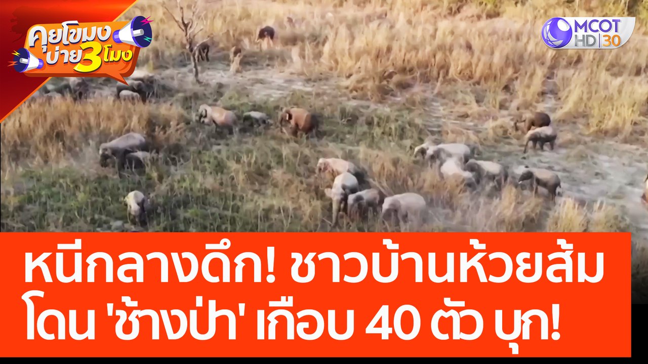 หนีกลางดึก! ชาวบ้านห้วยส้ม โดน 'ช้างป่า' เกือบ...