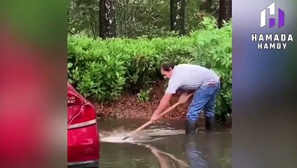 اكثر المواقف الانسانية في العالم _ لن تصدقها ابداً