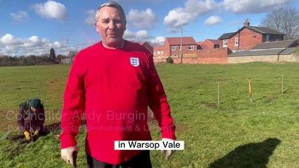 Tree planting across Mansfield