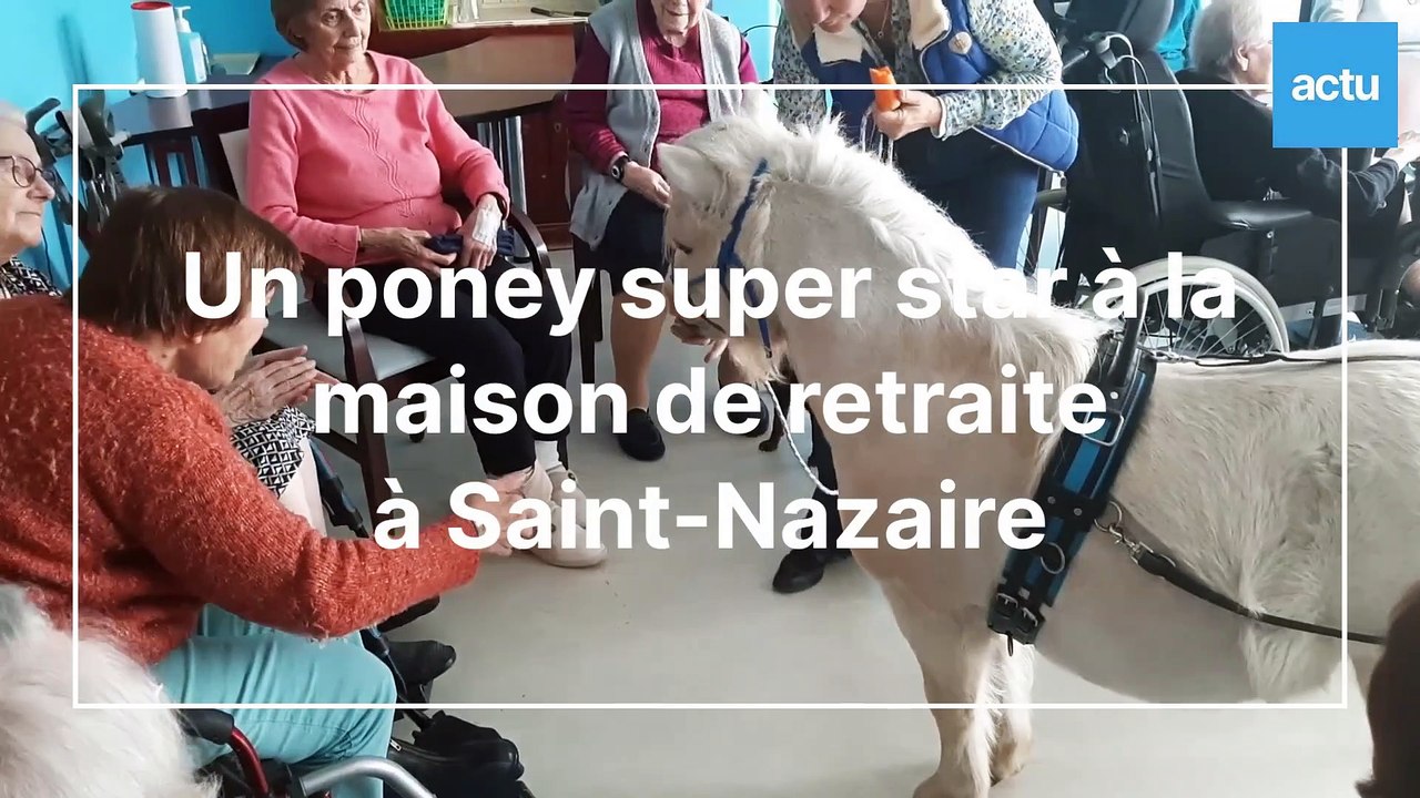 Epoly, le poney super star à l'Ehpad le Val de l'Eve de Saint-Nazaire