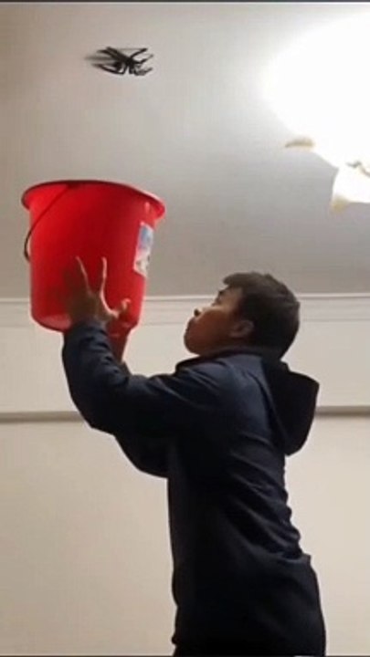 Video Funny 628