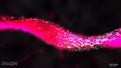 Sensazioni By  Francis Monroe Music/Composer