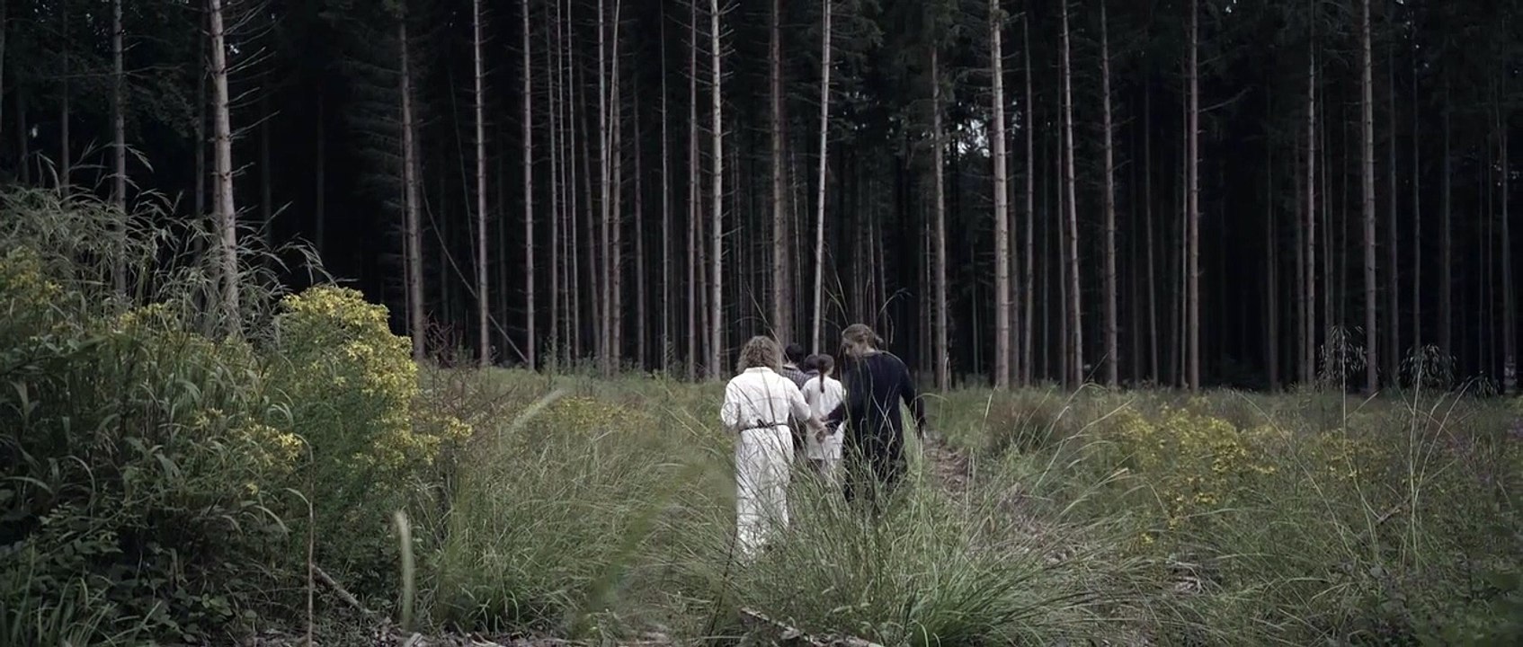 The Good And The Evil Trailer DF