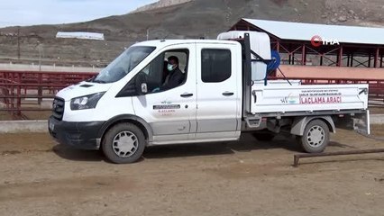 Şap hastalığına karşı ilaçlama çalışması yapıldı