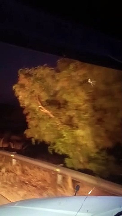 tormenta san rafael