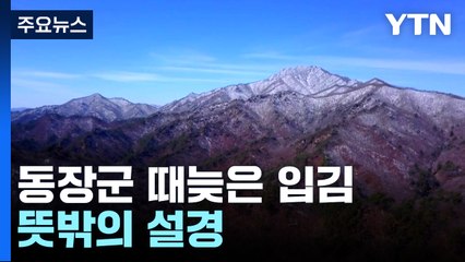 봄 시샘 동장군 때늦은 입김...뜻밖의 설경 / YTN