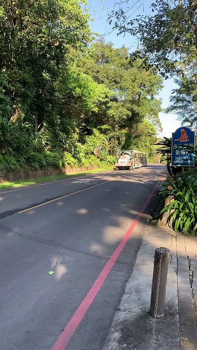 台北市立動物園小火車雙向來車 Taipei Municipal Zoo small train comes from both directions #忠駝論壇 #fyp #f4follow #fypシ #foryoupage #happy #asmr #best #cute #foryou #viral