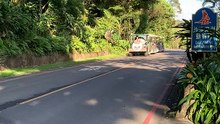 台北市立動物園小火車雙向來車 Taipei Municipal Zoo small train comes from both directions #忠駝論壇 #fyp #f4follow #fypシ #foryoupage #happy #asmr #best #cute #foryou #viral