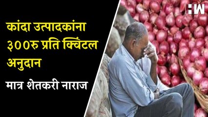 कांदा उत्पादकांना ३००रु प्रति क्विंटल अनुदान मात्र शेतकरी नाराज| Eknath Shinde| Onion Price| Farmers