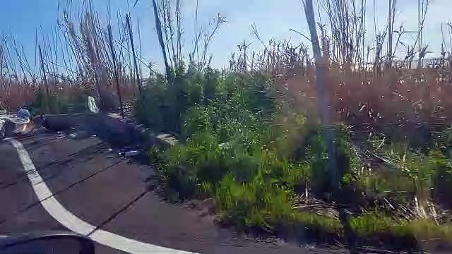 Rifiuti sulla Sp5 tra Margherita di Savoia e Trinitapoli