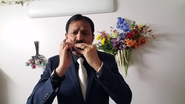 Shola jo bhadke dil mera dhadka-Film Albela-Vintage Song on Harmonica Live Performance by Mukund Kamdar