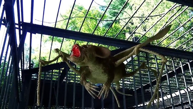 Cocaine Shark Teaser VO