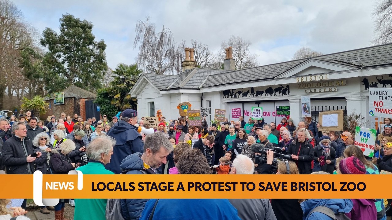 Bristol March 13 Headlines: Locals campaign to save bristol zoo