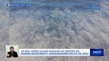 Posibleng umabot ang oil spill hanggang Calapan, Oriental Mindoro at ilang bahagi ng Batangas -- UP-MSI | Saksi