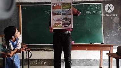 উদ্ভিদ ও প্রাণীর মধ্যে সম্পর্ক