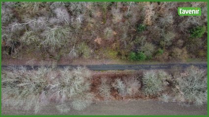 L’exemple allemand pour remettre en service la ligne 163 entre Bastogne et Libramont ?