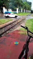 Vídeo: Trem turístico freia antes de bater em caminhonete no Sul de Minas