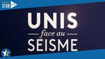 Unis face au séisme (France 2) : qui sont les invités présents lors du concert ?