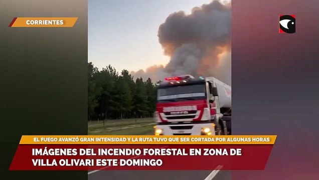 Incendios en Corrientes Imágenes del Incendio forestal en zona de Villa Olivari este domingo