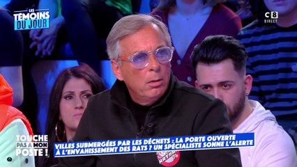 Villes submergées par les rats : un dératiseur sonne l'alerte !