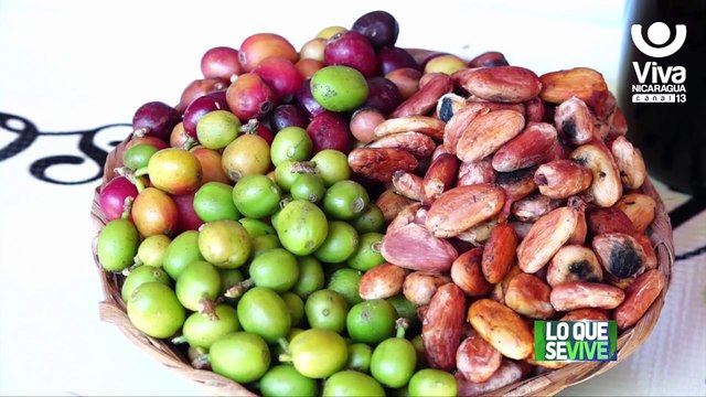 Granada celebra la IV Expo Feria Nicaragua es cafe con el mejor café del país