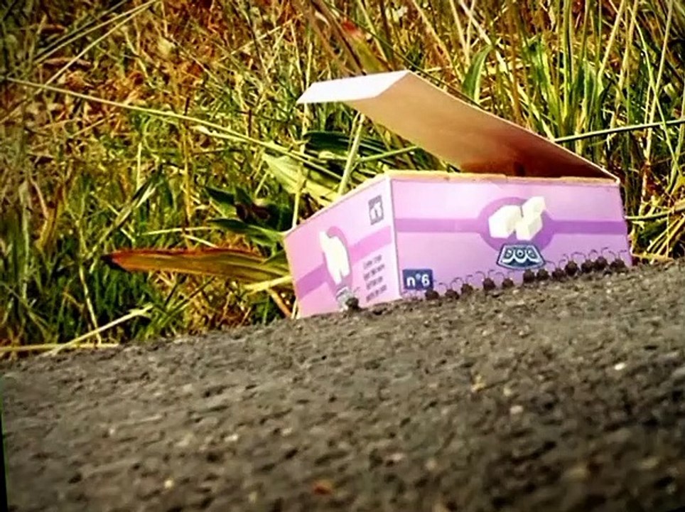 Minuscule S01 E05