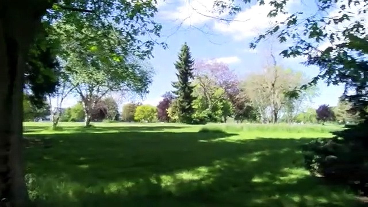 Catch Up Erinnerungen