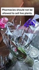 Woman Documents Her Dumpster Diving Finds