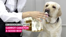 My Dog is My Valentine: Make your pup a carrot cake