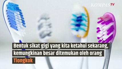 Baru Tahu, Dulu Kita Sikat Gigi Pakai Kuku Hewan?| SINAU
