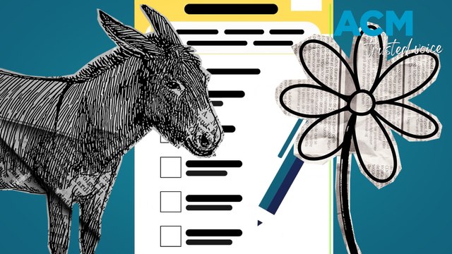 The difference between donkey and informal voting in Australia