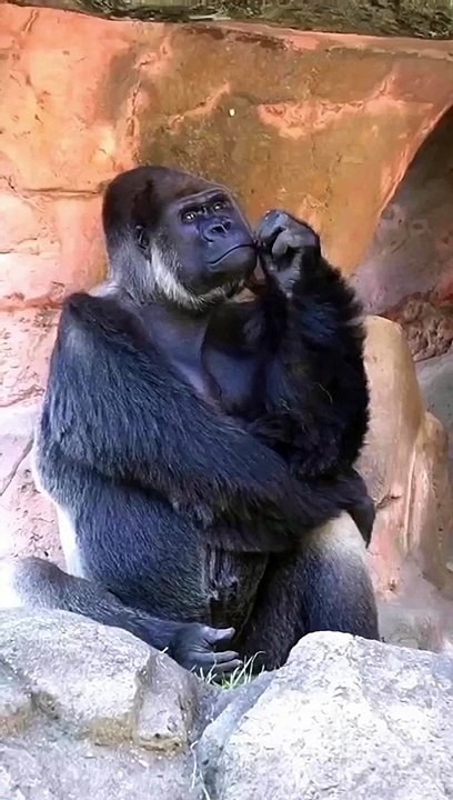 Thinking about life!