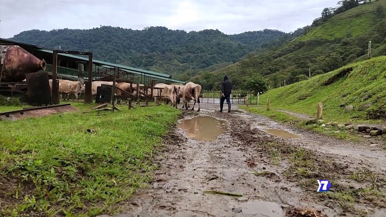 Los sonidos de la granja