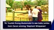 Tamil Nadu: Tourists throng Mudumalai to see baby jumbos from Oscar-winning ‘Elephant Whisperers’