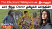 Oscar விருதை வென்ற The Elephant Whisperers ஆவணப்படத்தை இயக்கிய தமிழ் பெண்!