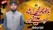 Bula Lo Phir Mujhe Aye Shah e Behrobar  | New Naat | Shehryar Qadri