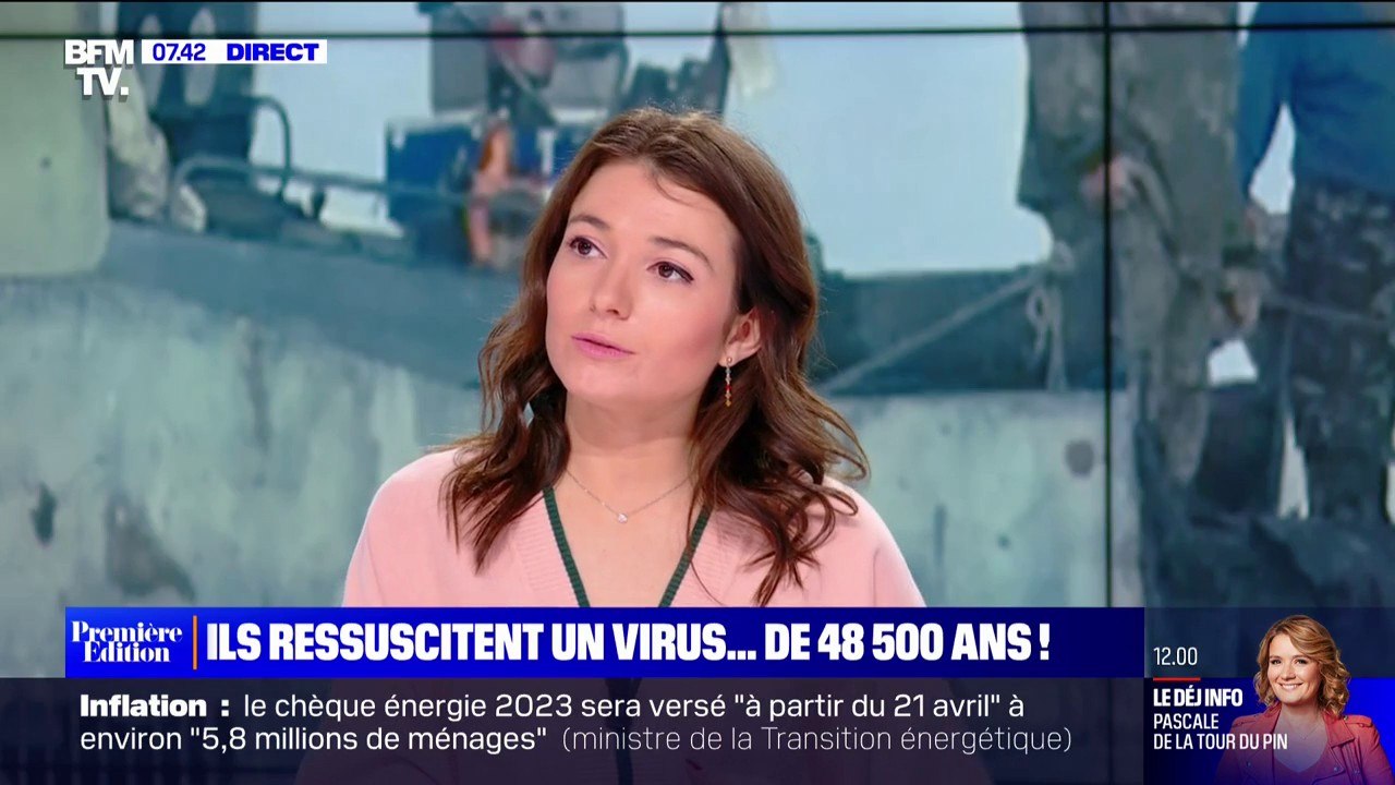 LE CHOIX DE MARIE - Des chercheurs français ressuscitent un virus de 48.500 ans