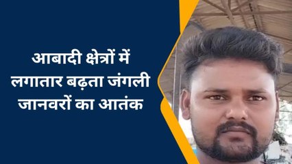 बहराइच: आबादी क्षेत्र में जंगली जानवरों का आतंक,खेत के पास दिखा तेंदुआ