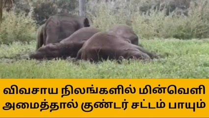 தருமபுரி மாவட்ட ஆட்சியர் கடும் எச்சரிக்கை அறிவிப்பு