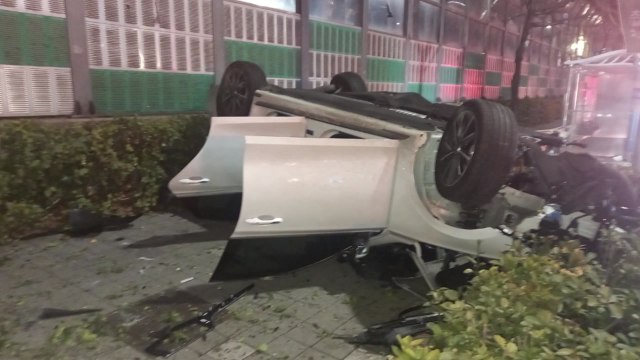 음주운전하다 가로수 들이받은 30대...집으로 도망갔다 검거 / YTN