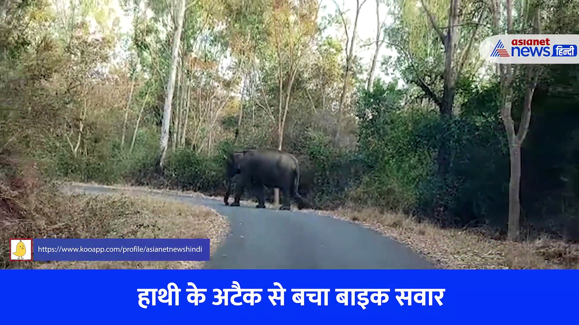 VIDEO में देखिए हाथी के अटैक से बचा बाइक सवार, एक पल लगा कि भाई तो गया..