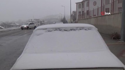 Yozgat'ta çiçek açan erik ağacı kar altında kaldı